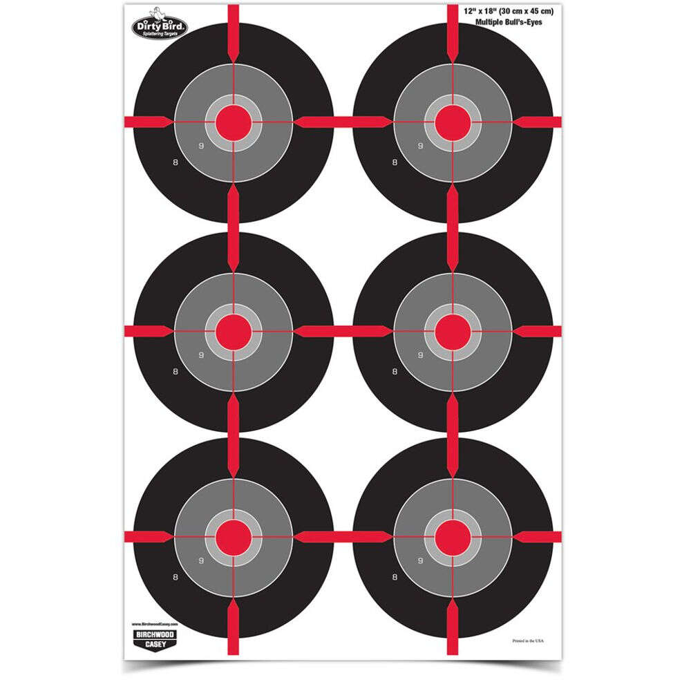 Targets Birchwood Casey Tagboard BIR 35703          DIRTYBRD 12X18 MLTPL BLL  100PK • Model: Tagboard